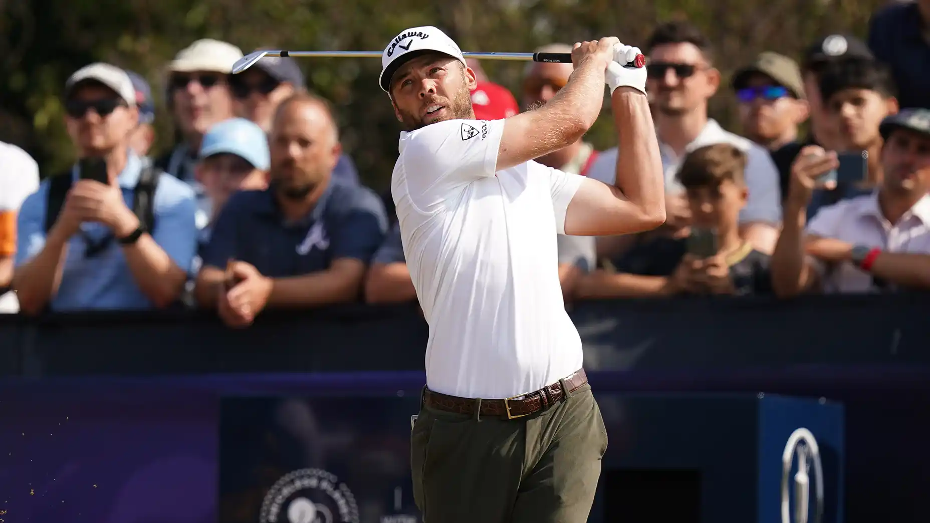 FedEx St. Jude betting guide: 6 picks our gambling expert loves this week