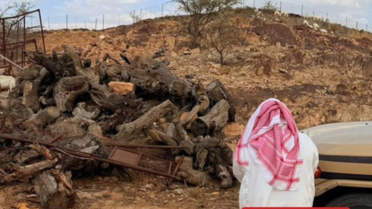 Environmental Security seizes 5 cubic meters of local firewood in Asir