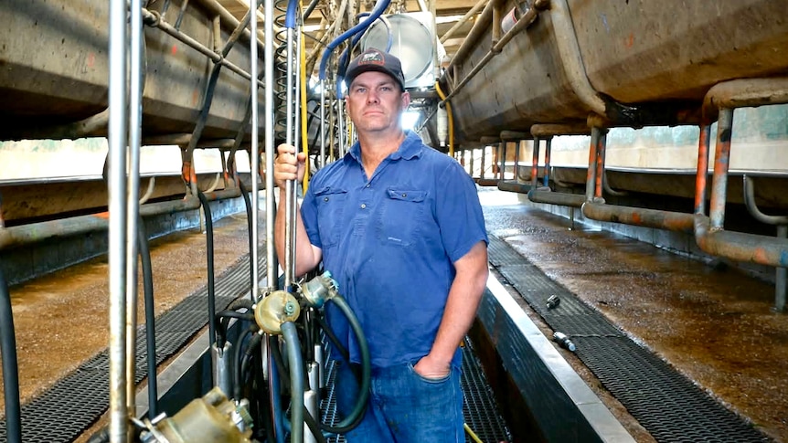 After 80 years of dairying, no-one wants this farm's milk.