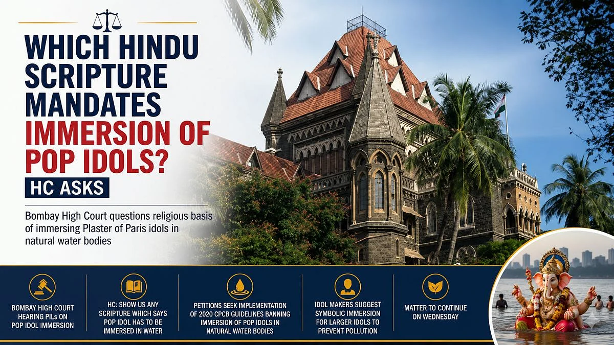 Bombay HC Asks Whether Any Hindu Scripture Mandates Immersion Of PoP Idols In Natural Water Bodies