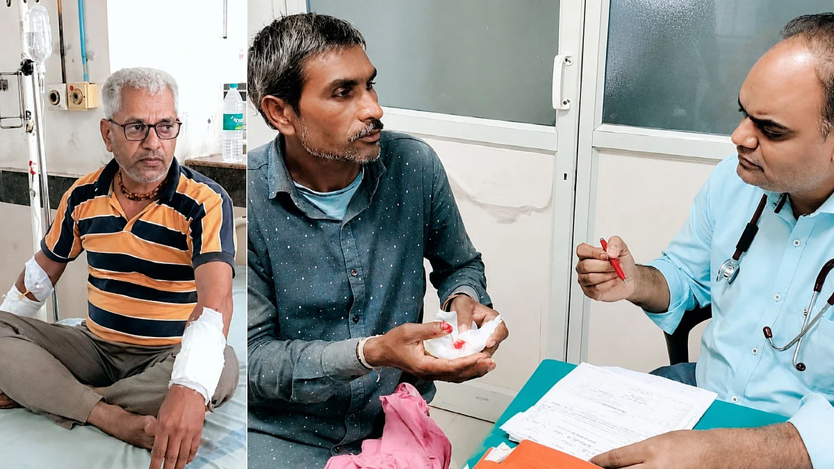 Two Men Attacked By Stray Dogs In Ujjain; Residents Demand Civic Action