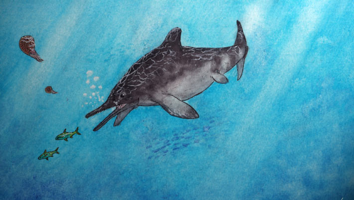 Germany’s Famous Fossil Beds Yield New Species of Jurassic Ichthyosaur