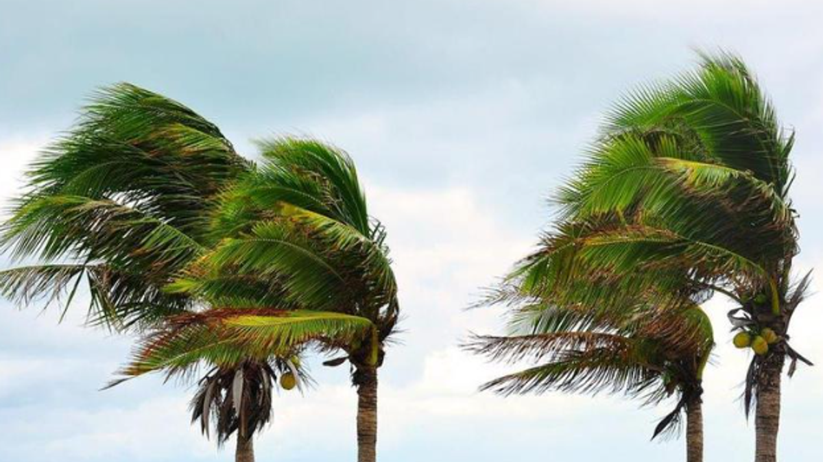 Strong winds, dust alert issued for Northern Borders region