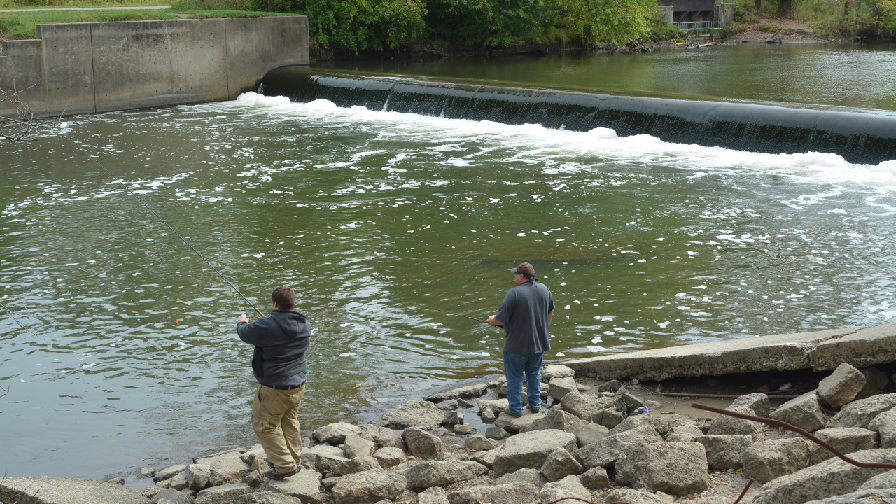 Ohio dam removal doubles free-flowing habitat, 15 new fish species found