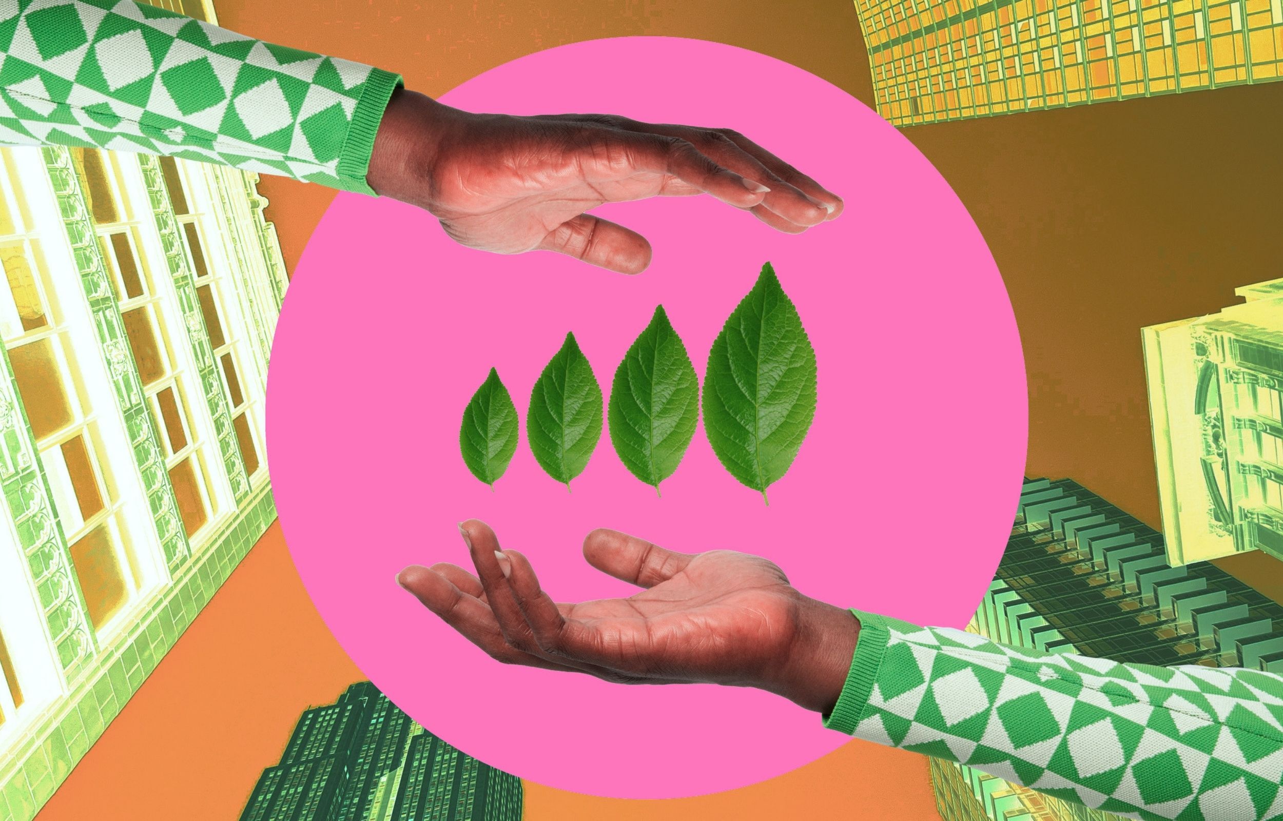 4 Lessons I Learned Building a Sustainable Business From the Ground Up