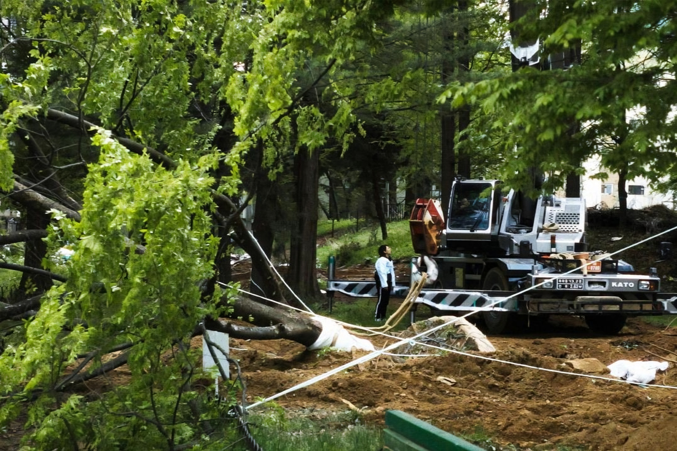 'Green Concrete' documentary questions cost of urban renewal