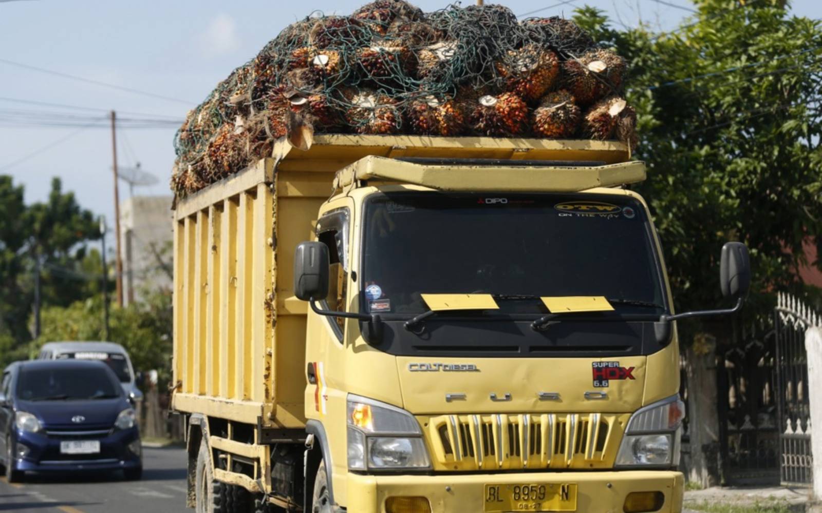 Palm oil prices rise as Indonesian forest fires put supply at risk