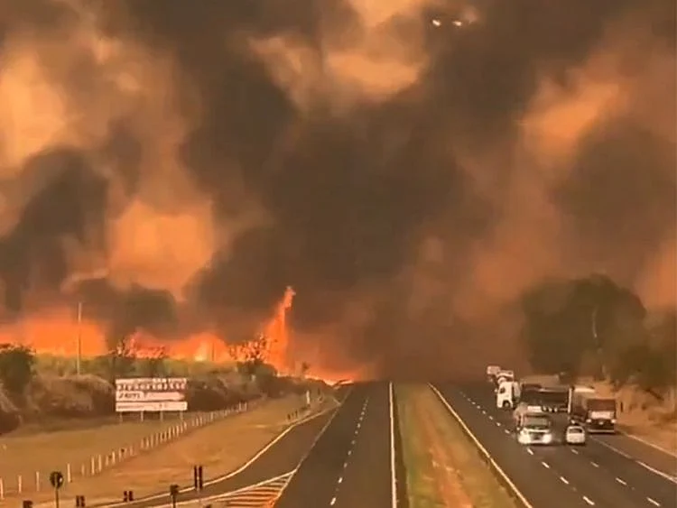Wildfires, heatwaves endanger air quality, health: UN