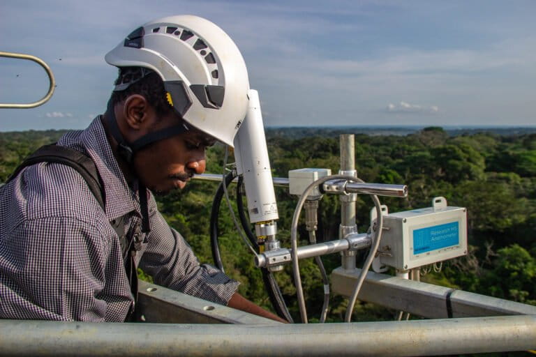 What conservation rumors reveal about climate projects in the Congo Basin (commentary)