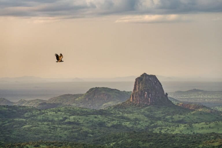 World Heritage status for South Sudan parks will be a boon for the birds