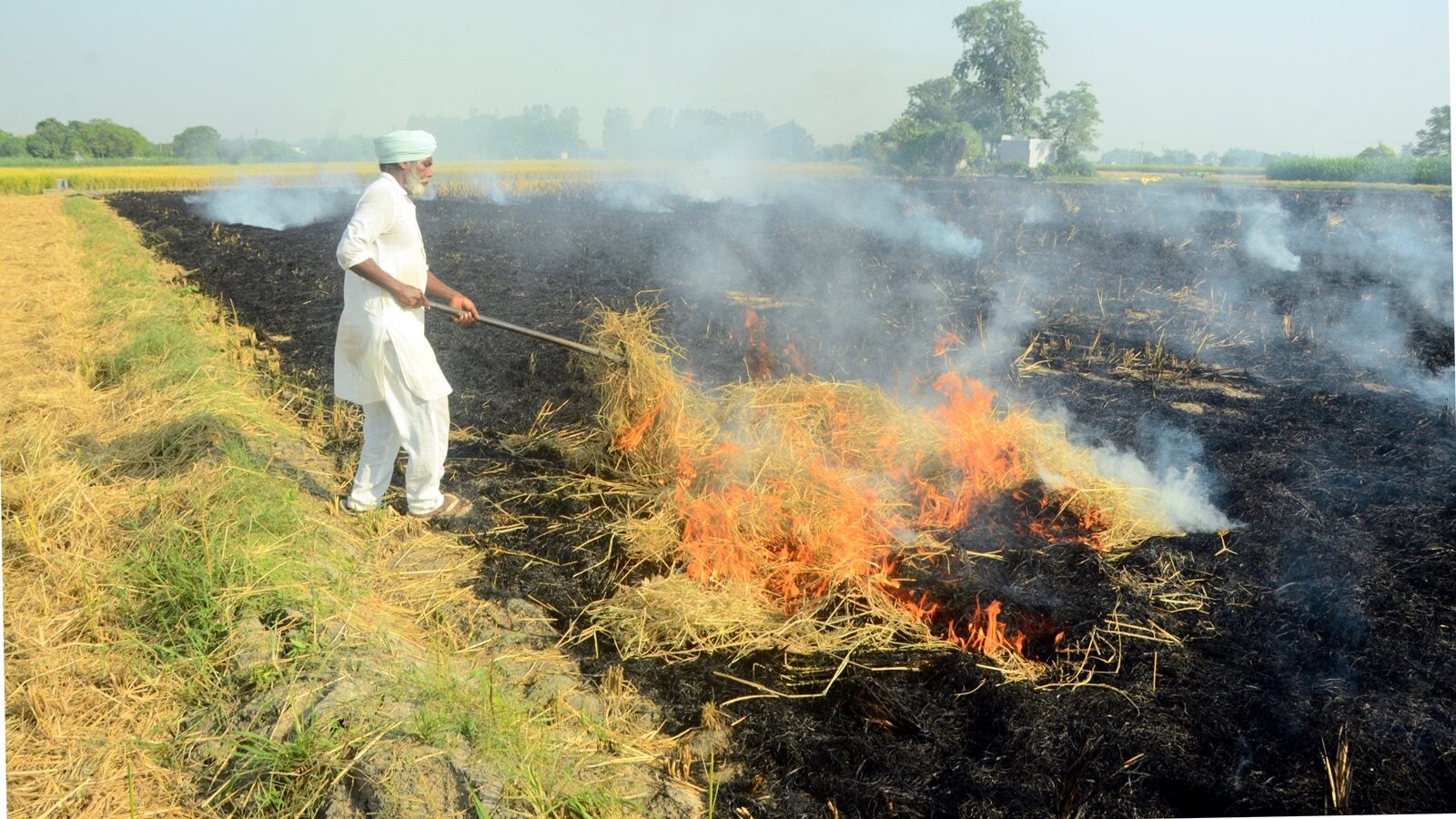 Air quality management body to re-test burnt area protocol as satellite, ground data diverge
