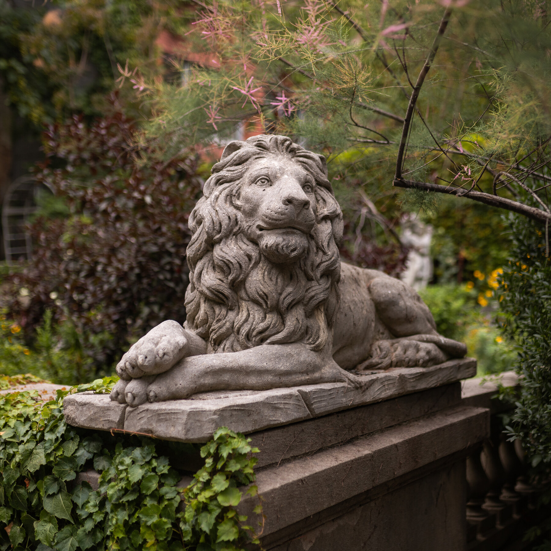 A Timeline of the Fight Over the Elizabeth Street Garden in Manhattan
