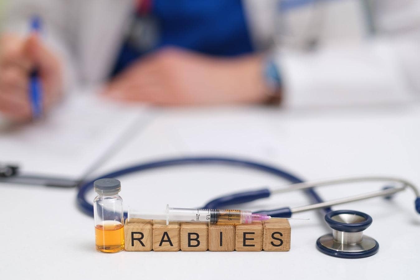 Misbranded rabies vaccines seized in Delhi: What was found, why it matters