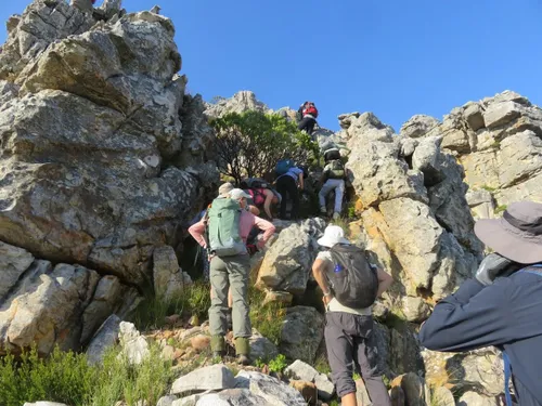 Retired nurse returns to Cape mountain trails after complex spine surgery