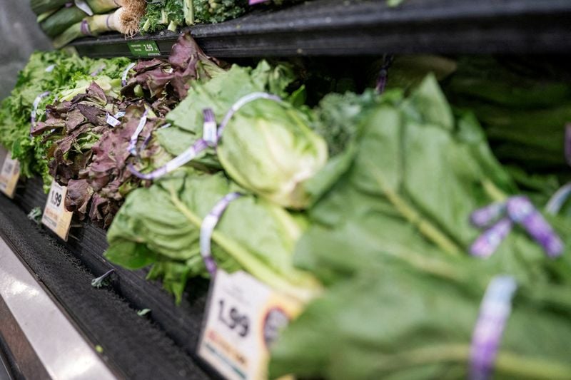 Acting US FDA chief urges confidence in lettuce as agency updates produce safety guidance