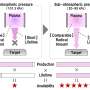 Dark plasma regions reveal overlooked source of reactive atomic oxygen