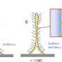 Tiny polymer particles keep water jets stable for longer