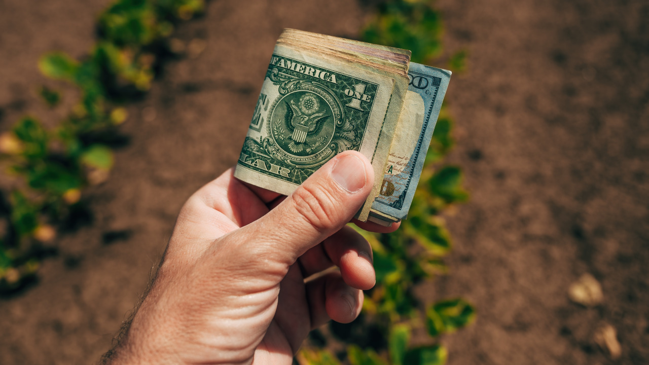 Dead money: Your savings account is losing inflation fight — where 4 financial advisors grow their cash instead