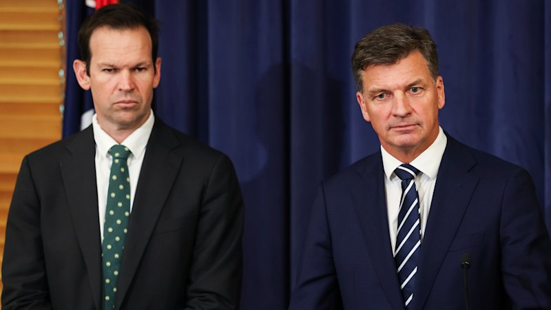 Hardline free-speech campaigners demand Coalition block Labor’s latest social media plan