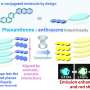Slender crystal's blue-to-yellow glow could make invisible forces visible