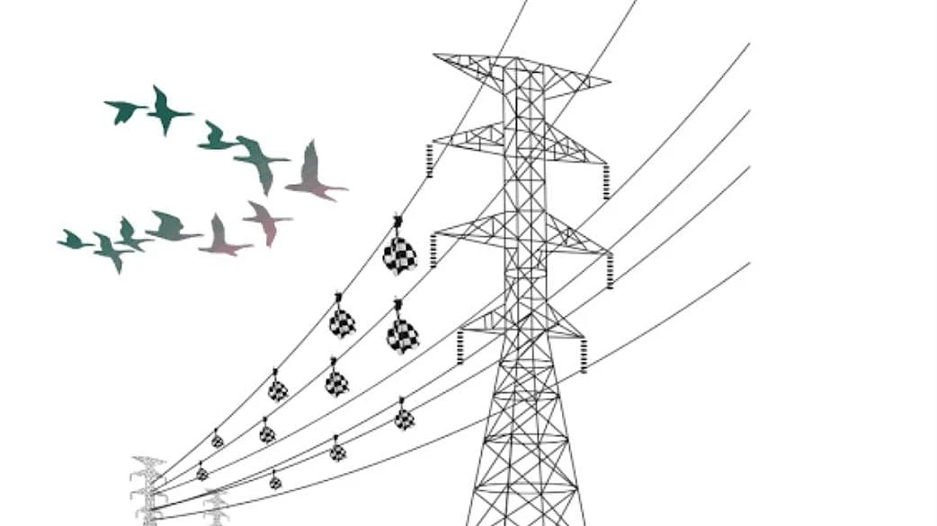 MP Transco Makes Power Lines Bird-Safe Across Malwa, Protects Grid Reliability