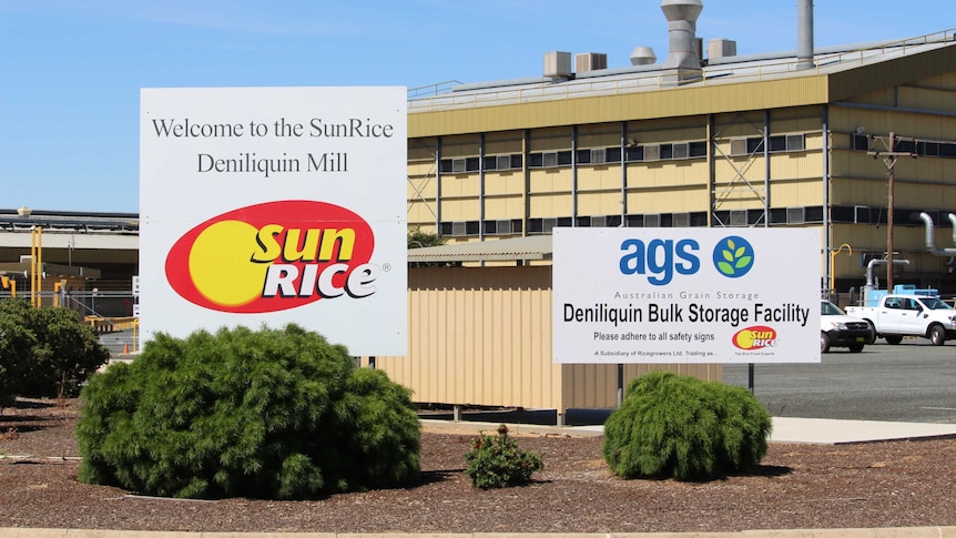 Commonwealth water policy blamed for loss of 78 jobs at rice giant