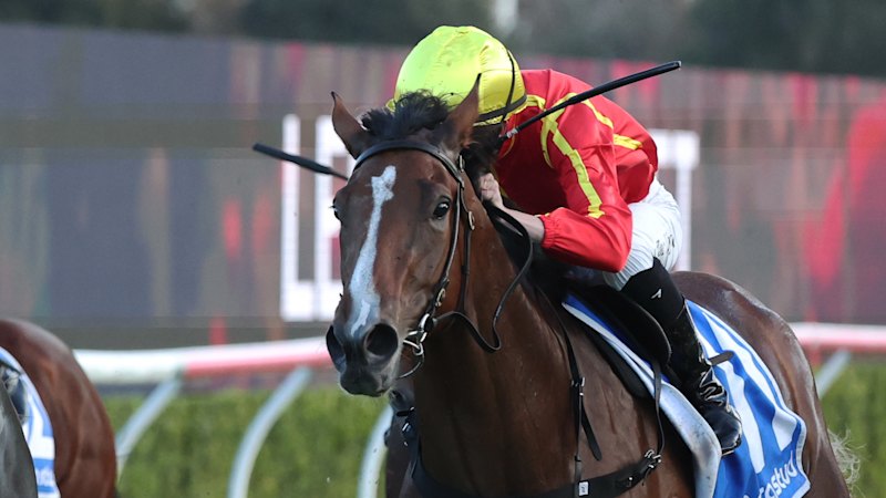 Race-by-race preview and tips for Kensington on Wednesday