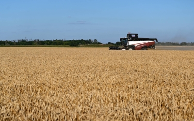 Inventories and farming method gains bolster food system against ‘super’ El Nino