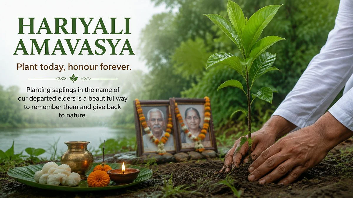 Hariyali Amavasya: Gratitude, Ancestors And The Green Tradition