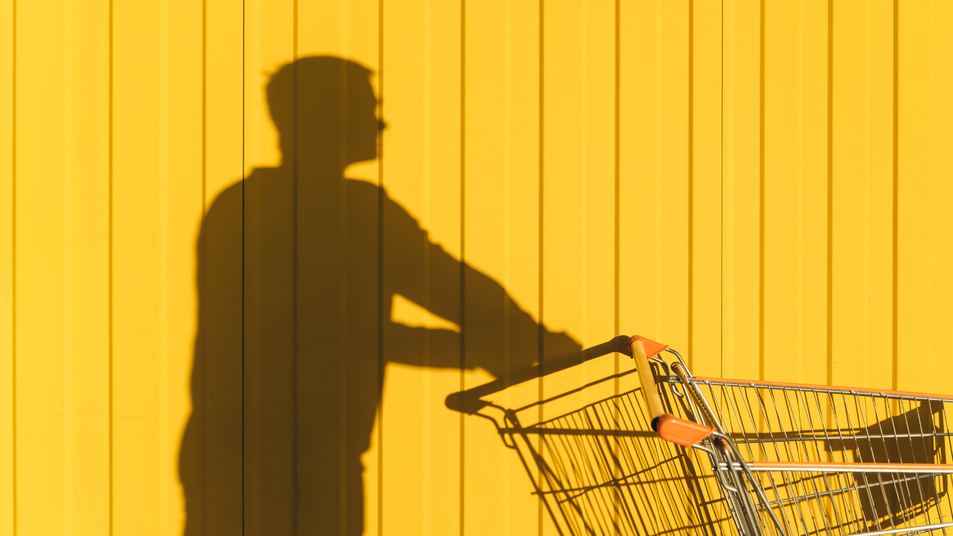 Data Earns Respect in Big-Box Retail