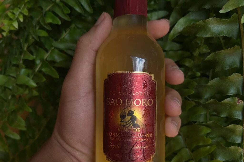 Colombian Winemaker Creates Wine From Santander’s Famous Big-Ass Ants