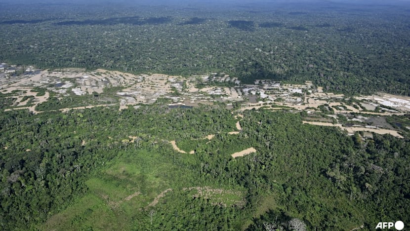 Brazil's natural areas shrink, worsening El Nino impact