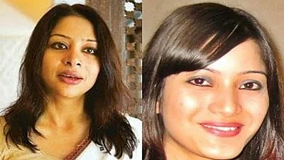 Sheena Bora Murder Case: Mikhail Bora Writes To Court Fearing Threat To Life, CBI Asked To Respond