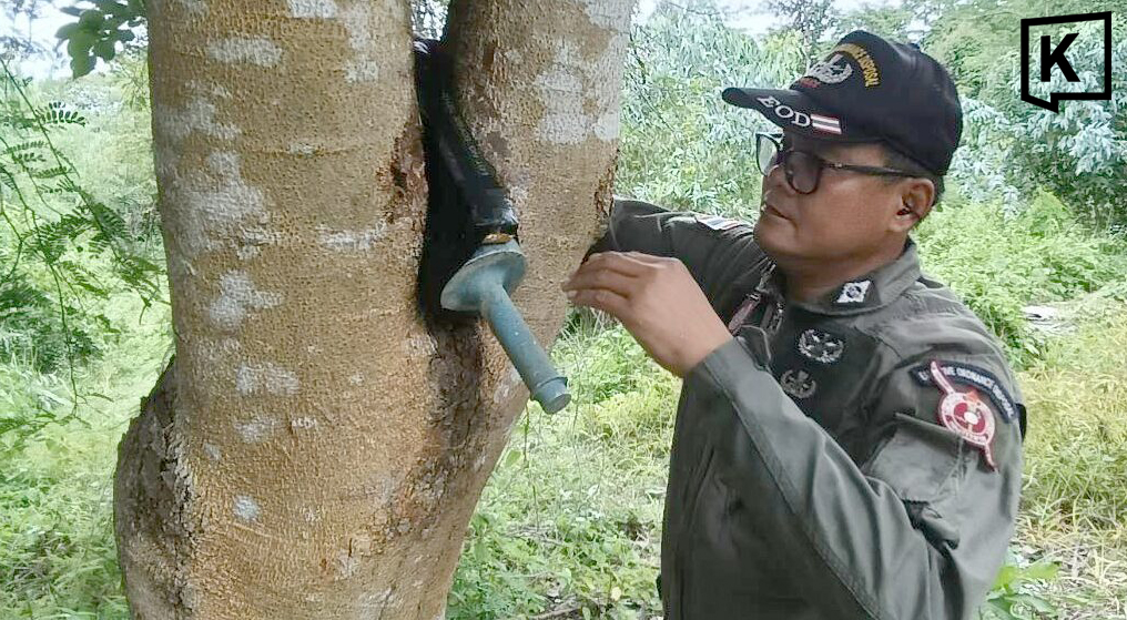 Anti-tank explosive round found lodged in a tree in Buriram forest; EOD team clears area