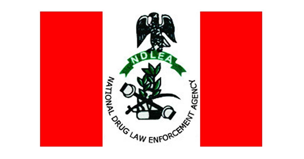 Edo: NDLEA raises alarm over food shortage as farmers turn to cannabis cultivation