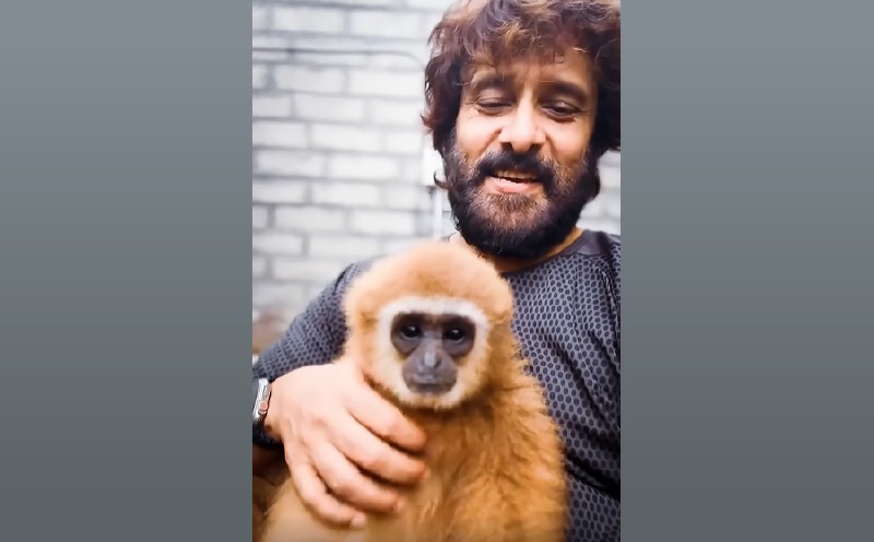 Lar gibbon linked to Indian actor Vikram traced to Malaysia