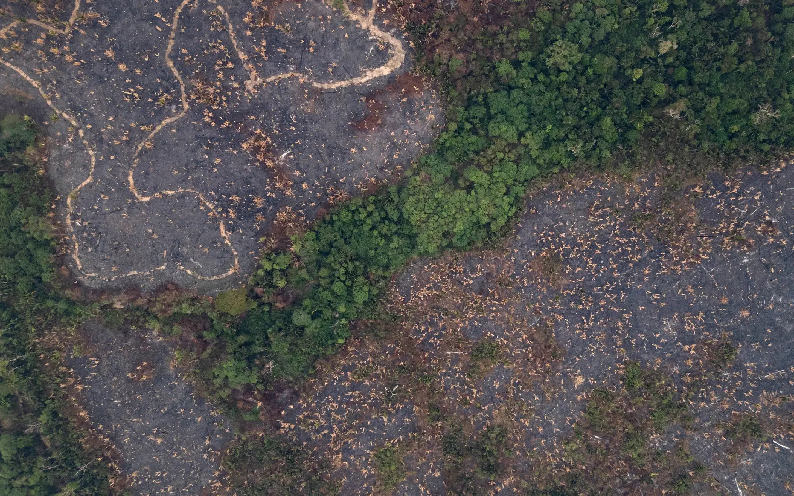 Brazil’s natural areas shrink, worsening El Nino impact