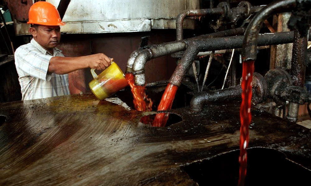 Palm oil tracks Dalian rivals lower