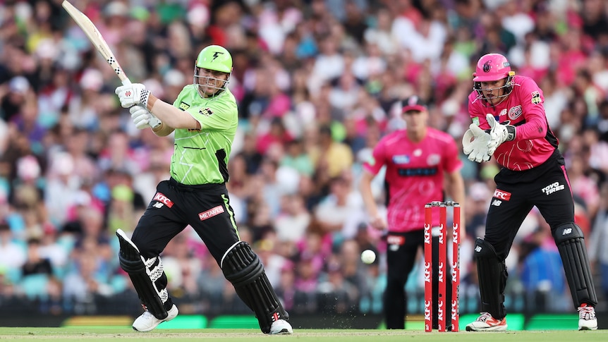 Major state fears cricket will be worse off with private investment
