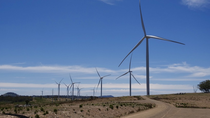 Energy minister admits to mistakes during lagging renewables rollout