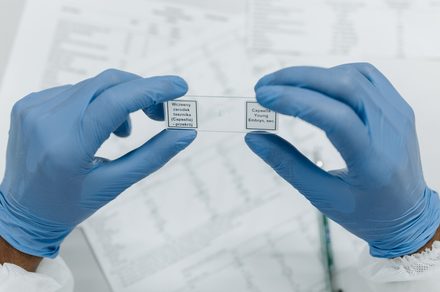 Cornell researchers found a way to spot future hits before they become popular
