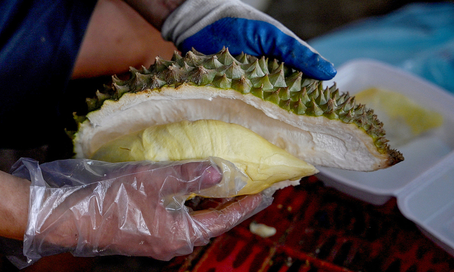 Vietnam durian exports to China soar