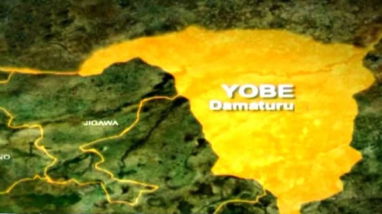 Yobe tertiary institutions’ unions issue fresh 15-day ultimatum over unpaid allowances, welfare packages
