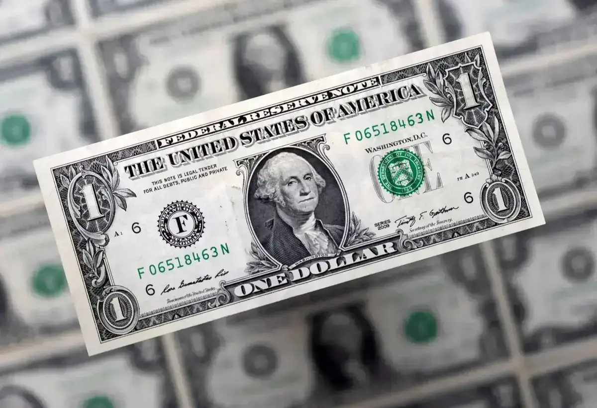 Rupee records gain against US dollar