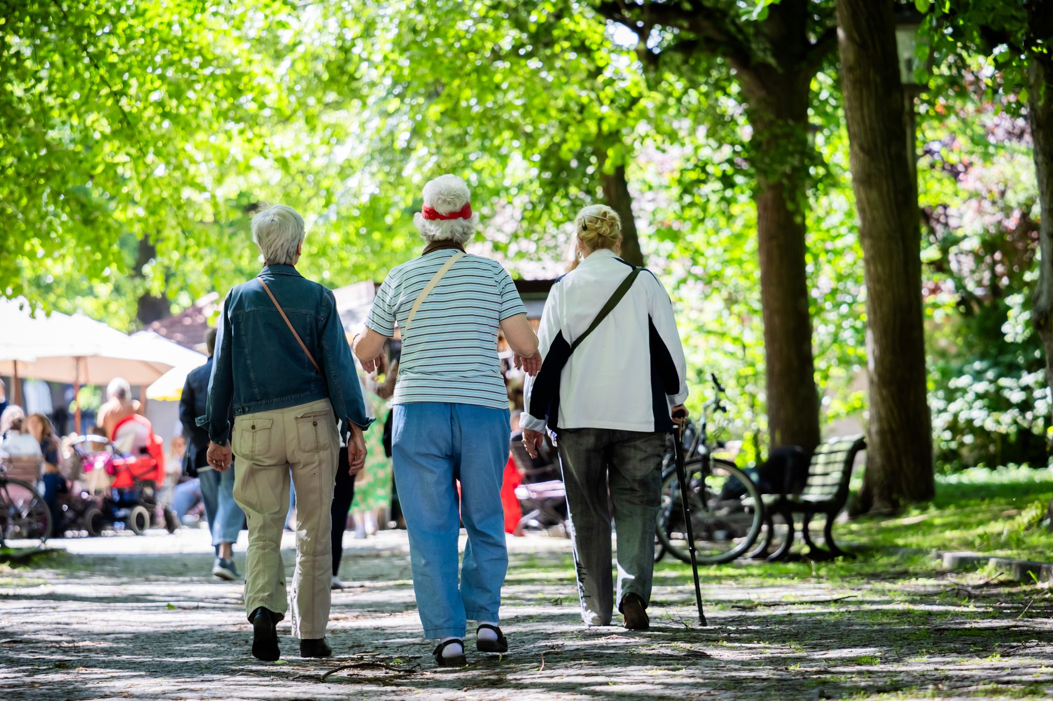 Germany’s youth population aged 15 to 24 at just 10%