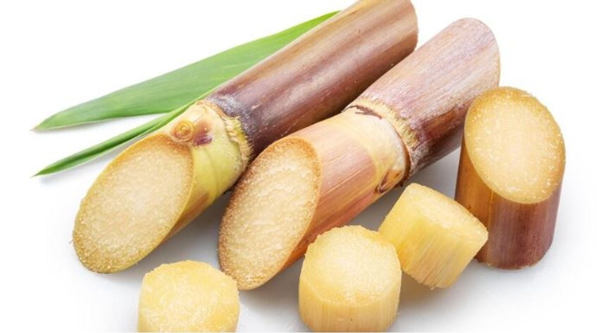Sugarcane extract may boost heart health, lower bad cholesterol: study