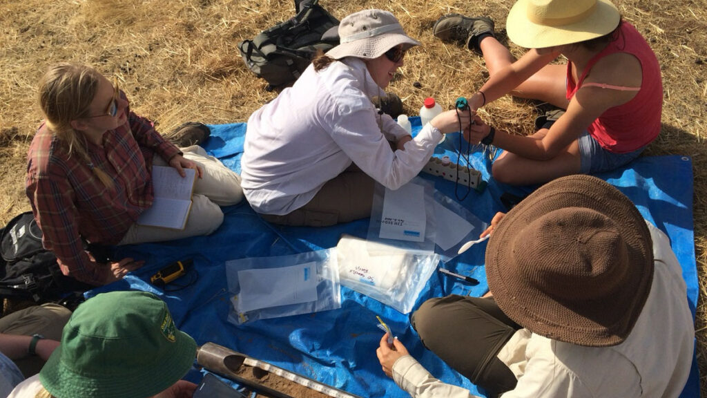 Four in Five Researchers Report Harmful Interactions During Geoscience Fieldwork. A New Survey Suggests a Path Forward.