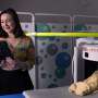 Anemia in pregnancy linked to differences in babies' brain development