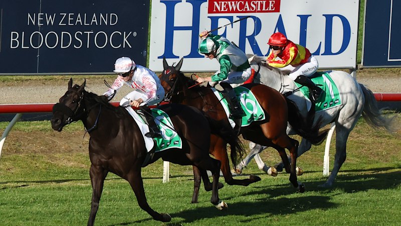 Race-by-race preview and tips for Newcastle on Thursday