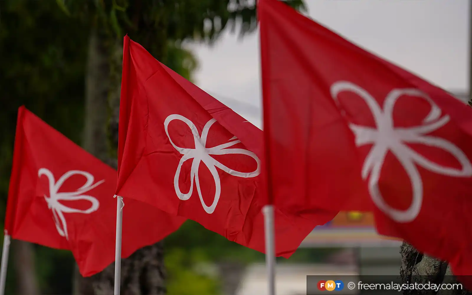 Pemimpin akar umbi Bersatu Kangar keluar parti, sertai Wawasan